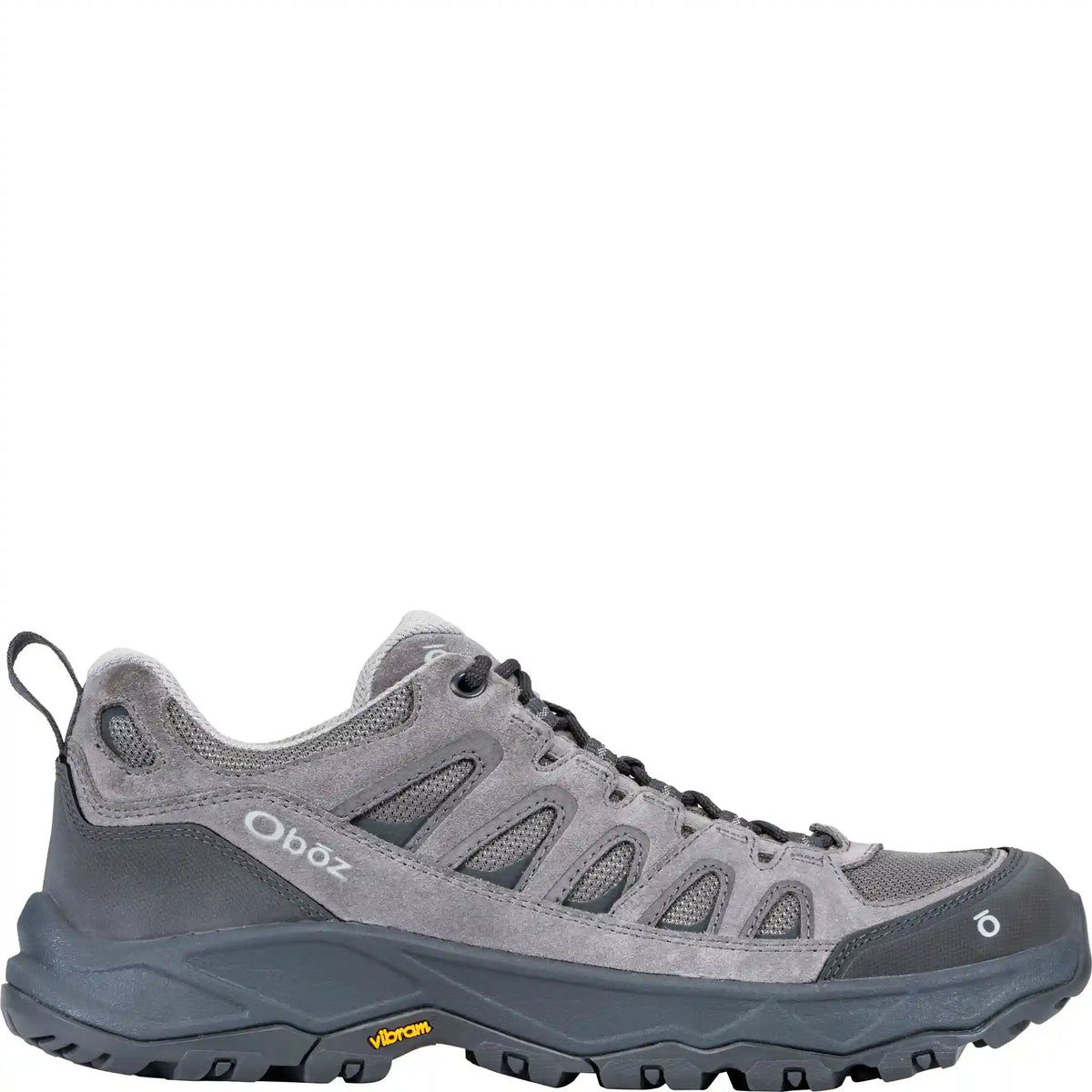 Men's Sawtooth Ascent Low