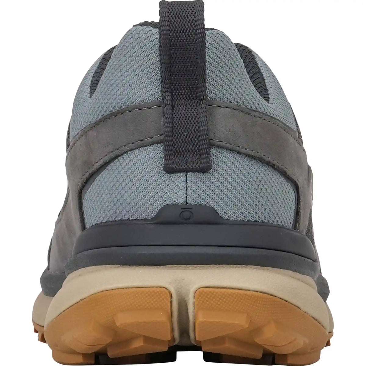 Men's Hyalite Low Waterproof