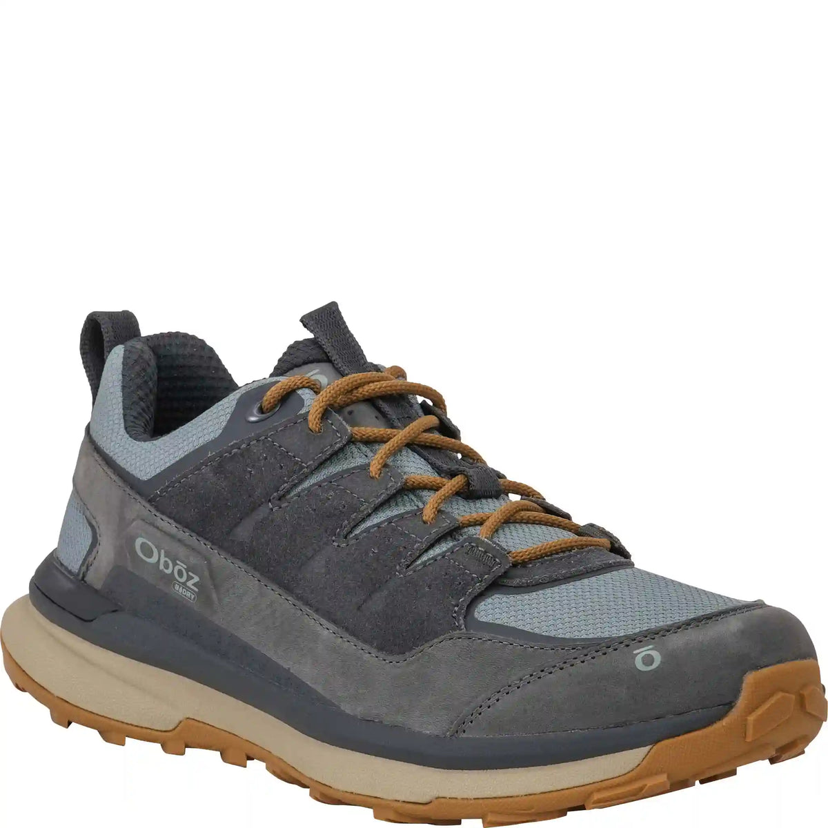 Men's Hyalite Low Waterproof