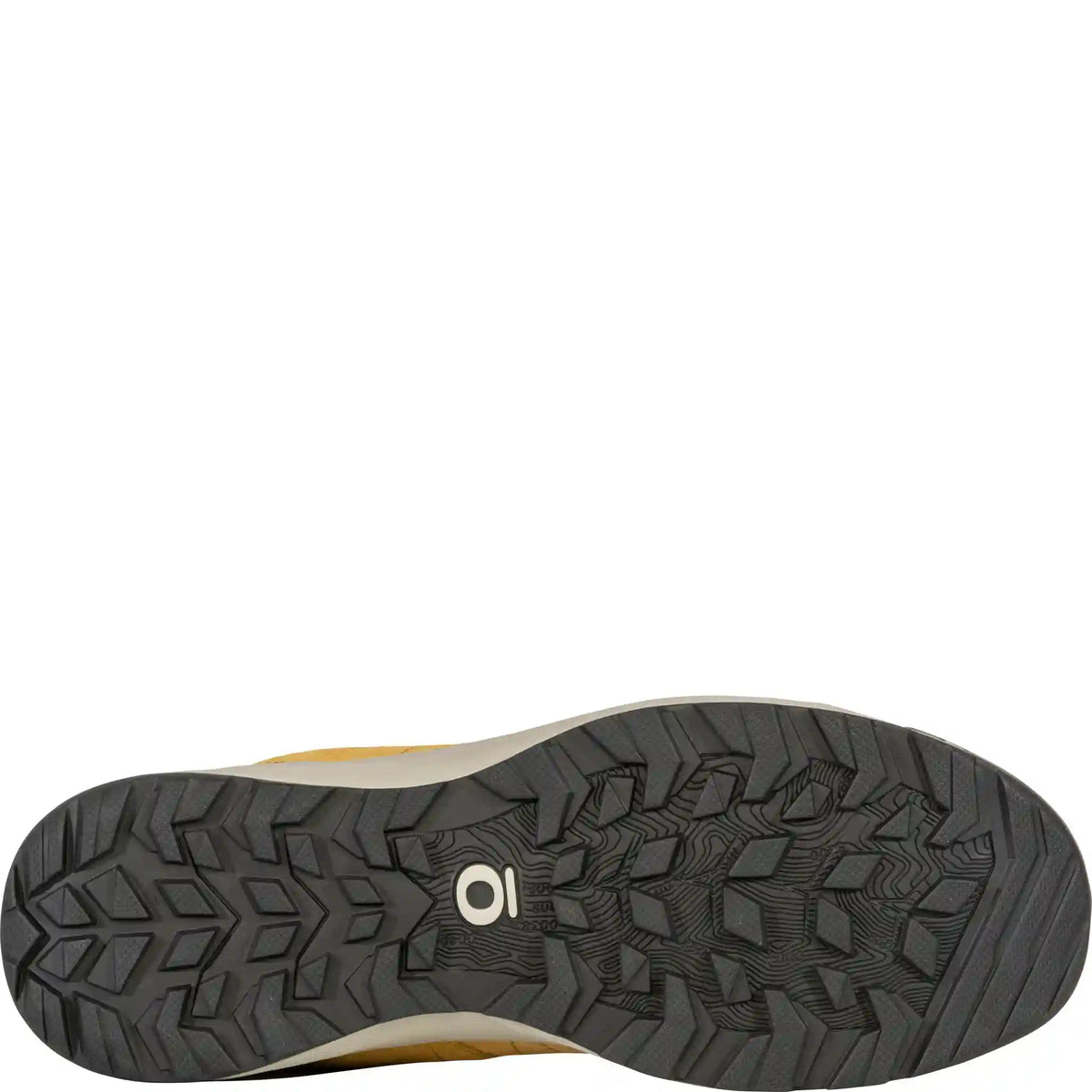 Men's Bozeman II Low