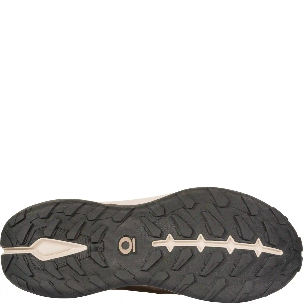 Men's Hyalite Low Waterproof