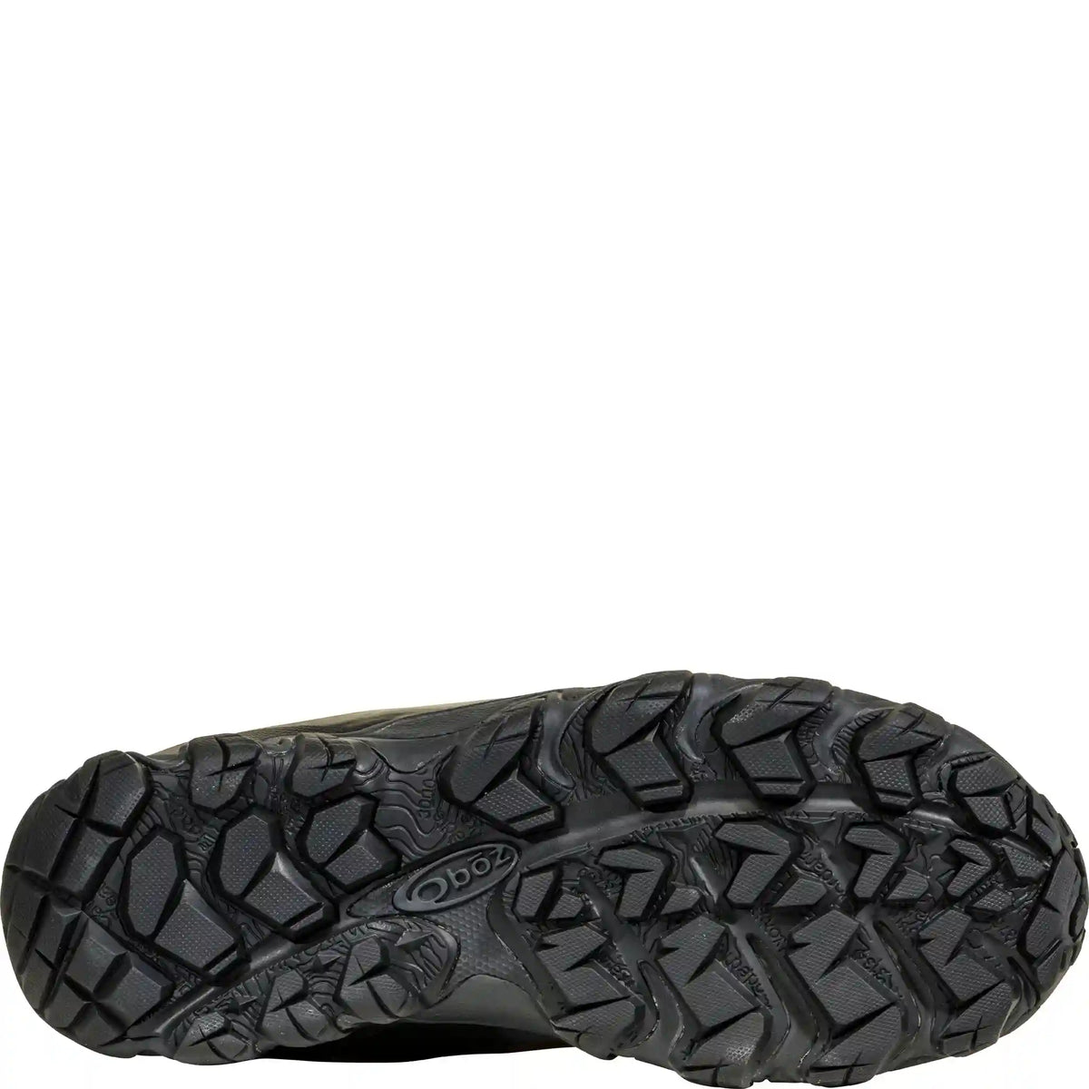 Men's Bridger 10" Insulated Waterproof