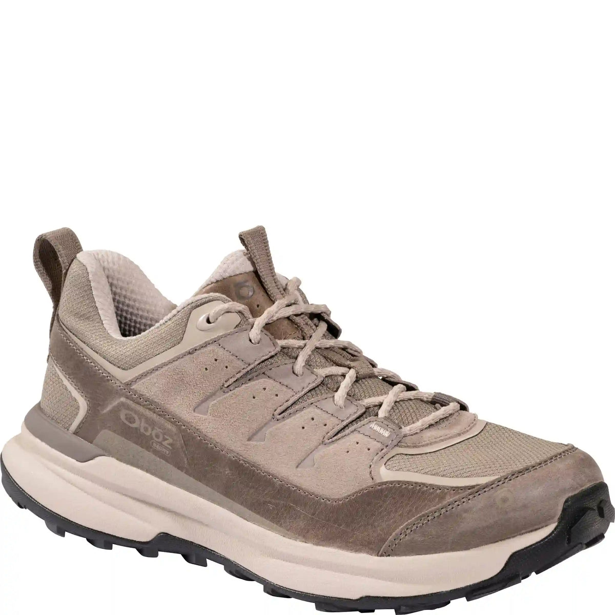 Men's Hyalite Low Waterproof